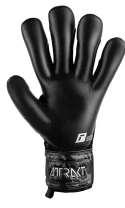 دستکش دروازه بانی راش Reusch Goalkeeper gloves