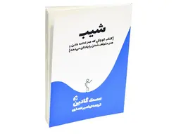کتاب شیب اثر ست گادین