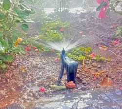 پایه قیم لوله ماکارونی (3 عدد)