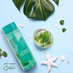 شامپو بدن چای سبز و نعنا Green Tea And Mint شون مناسب انواع پوست ۴۲۰ میلی لیتر