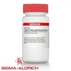 پودر انزیم تریپسین کشت سلول سیگما، Trypsin Sigma کد T4799