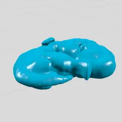 جنین انسان هفته 14