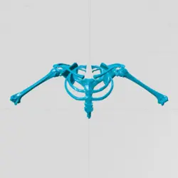مولاژ استخوان های آگزیلا (axillary bones)