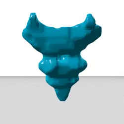 مولاژ استخوان های ساکروم و کوکسیکس (sacrum and cocyx)