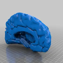 نیمکره ی مغز (hemisphere)