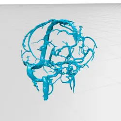 ونوگرافی CNS