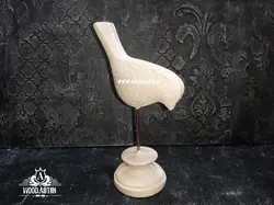 پلي استر مرغ آمين سرپایین