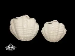 پلی‌استر گلدان صدف دو سایز