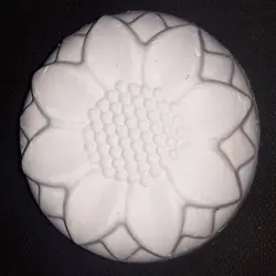 سنگ کلسیم پرندگان زوریچ کد SK-p-2 بسته 2 عددی