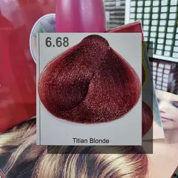 رنگ مو رمیو سری خرمایی (قهوه ای قرمز) شماره 6.68 بلوند طلایی قرمز 100 میل