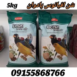 شن اقیانوس پادوان ایتالیا  وزن ۵ کیلوگرم