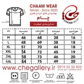 تیشرت مدرن هنری ایرانی با شعر تو شیرینی و شهری شده فرهاد از تو برند چام 2908