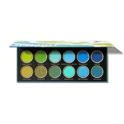 پالت سایه شیگلم رنگ Zen Out Shangri La8489468597854848