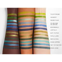 پالت سایه شیگلم رنگ Zen Out Shangri La8489468597854848