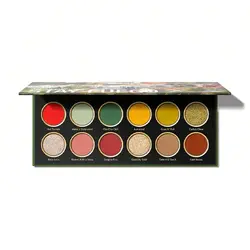 پالت سایه شیگلم رنگ Stay Fuego Mexico City8489468597854864