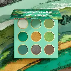 پالت سایه 9 رنگ شیگلم مدل Spring it on clover pallete145641685416584