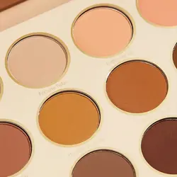 پالت سایه شیگلم رنگ Smart Cookie848946859785486256