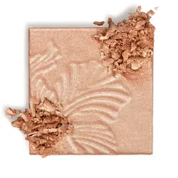 هایلایتر پودری مگا گلو وت اند وایلد کد321541654658465465