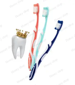 مسواک medium antibacterial دونتودنت ​اوریجینال اصل آلمان