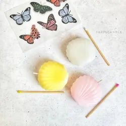 شمع گیاهی صدف
