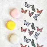 شمع گیاهی صدف