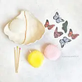 شمع گیاهی صدف