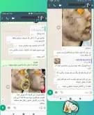 پکیج کرم و صابون رویال