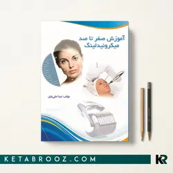 آموزش صفر تا صد میکرونیدلینگ