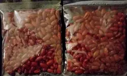 بذر لوبیا سبز مهشاد » فروشگاه آنلاین عطاری معماریانی