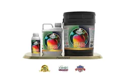 خرید کود رنگ آوری شوک