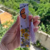 پک هدیه لوازم تحریر رزینی