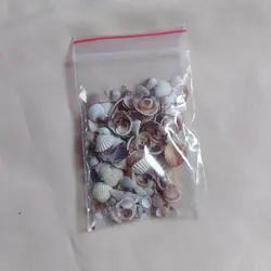 گوش ماهی و صدف ریز مینیاتوری