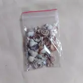 گوش ماهی و صدف ریز مینیاتوری