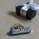 جاسویچی پلاک خودرو