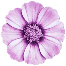 فرش زرباف دایره طرح گلپر بنفش (پرزبلند)