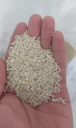 ریز دانه سورت شده و معطر برنج کامفیروزی