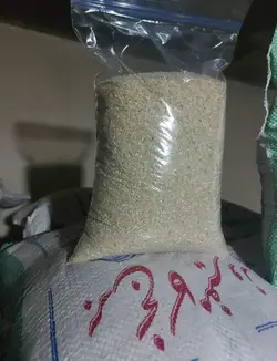 ریز دانه سورت شده و معطر برنج کامفیروزی