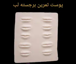 پوست مصنوعی تمرین تاتو برجسته لب3d