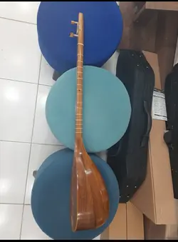 تنبور سنایی با کیف معمولی