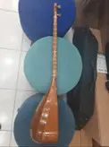 تنبور مهدی مفاخری با کیف معمولی