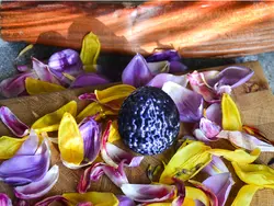 مدل سه بعدی تخم مرغی (STL)