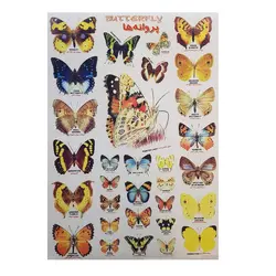 برچسب مدل پروانه ها کد BP2 | چند رنگ | گارانتی اصالت و سلامت فیزیکی کالا