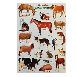 برچسب مدل حیوانات اهلی کد BA10-N | چند رنگ | گارانتی اصالت و سلامت فیزیکی کالا