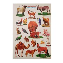 برچسب مدل حیوانات اهلی کد BA7  | چند رنگ | گارانتی اصالت و سلامت فیزیکی کالا