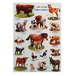 برچسب مدل حیوانات اهلی کد BA9-N | چند رنگ | گارانتی اصالت و سلامت فیزیکی کالا