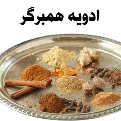 ادویه مخصوص همبرگر