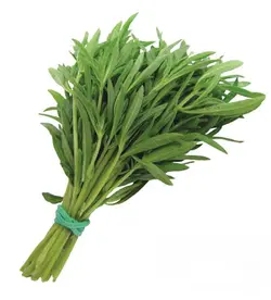 سبزی خشک مرزه