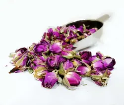 غنچه گل سرخ (کوچک)