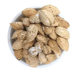 بادام محب اصفهان شور