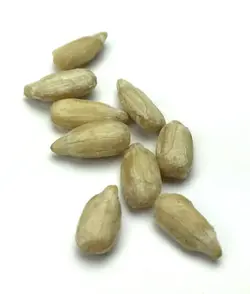 مغز تخمه آفتابگردان خام 300 گرمی